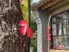 -三忘湖 SWANSEEN(柳荫公园店)