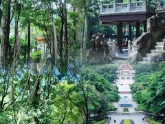 -福神岗公园