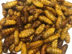 -百顺德海鲜自助(兴海名都广场店)