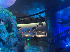 -陕西自然博物馆