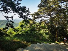 -黄埔油麻山森林公园
