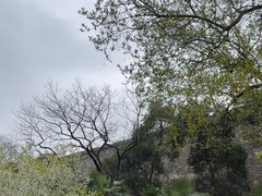 -南京城墙景区