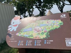 -空港花田景区
