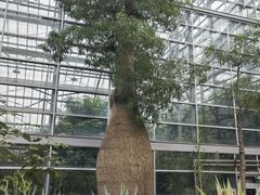 -南山植物园