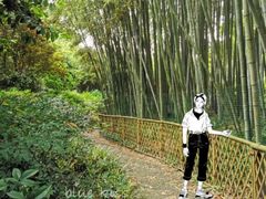 -汇龙潭