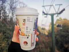 -茶颜悦色(岳麓山顶店)