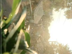 -SUSU·苏苏(四合院创始店)