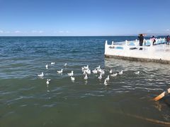 -青海湖国家重点风景名胜区