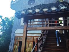 -龙大哥辣子鸡(双龙店)