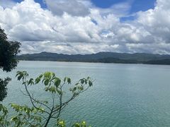 -广州市流溪河国家森林公园