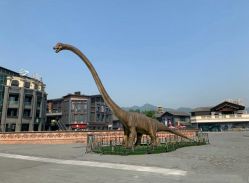 -恐龙探索乐园(磁器口店)