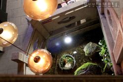 大厅-红馆·发喆院