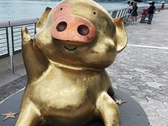 -星光大道