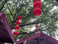 -广州市白云山风景名胜区