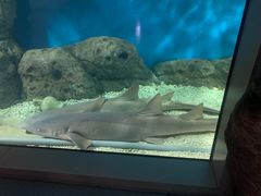 -福州罗源湾海洋世界旅游区