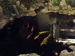 -鲤院·新中式美学·庭院餐厅(夫子庙店)