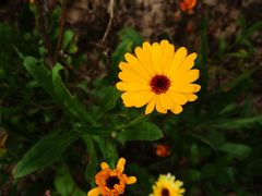 -沕沕水生态风景区