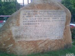 -郑和公园