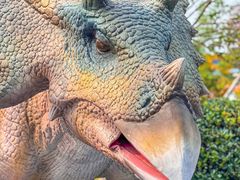 -海合安武汉极地海洋公园