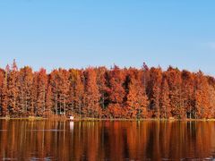 -上海海湾国家森林公园