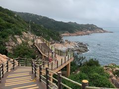 -广东惠东海龟国家级自然保护区