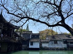 -乌镇西栅景区