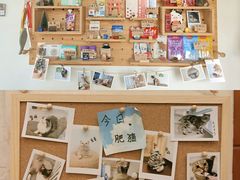 零售区-Catmate·猫肥家润(金润铂宫店)