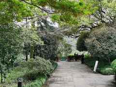 -中国茶叶博物馆(双峰馆区)