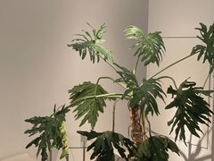 -洪小鹏生活美学馆(领SHOW天地店)