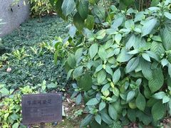 -广州神农草堂中医药博物馆
