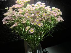 -Love Story爱情故事·养生SPA会所(新侨店)