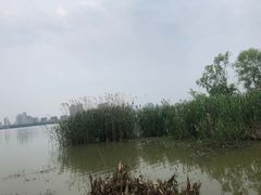 -艾溪湖湿地公园