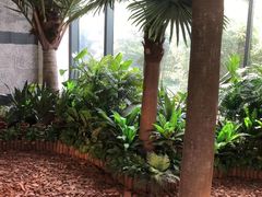 -上海虹桥西郊假日酒店