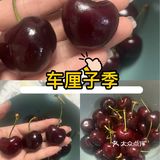 今年的车厘子来的比往年迟一点!