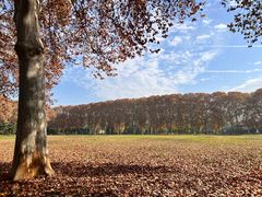 -河南省黄河迎宾馆