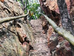 -天女山森林公园