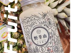 -野萃山·潮汕厚果汁(十亩地店)