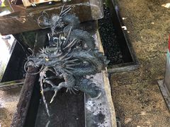 -鹿儿岛水族馆