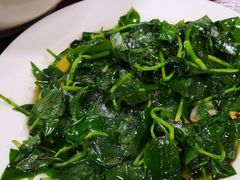 -荣生萝卜汤饭店