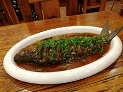 煎烧黄河大鲤鱼-老雒阳面馆·水席·洛阳菜(王城路店)