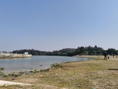 -仙湖旅游度假区