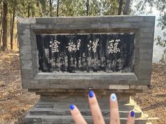-北京十三陵国家森林公园蟒山景区