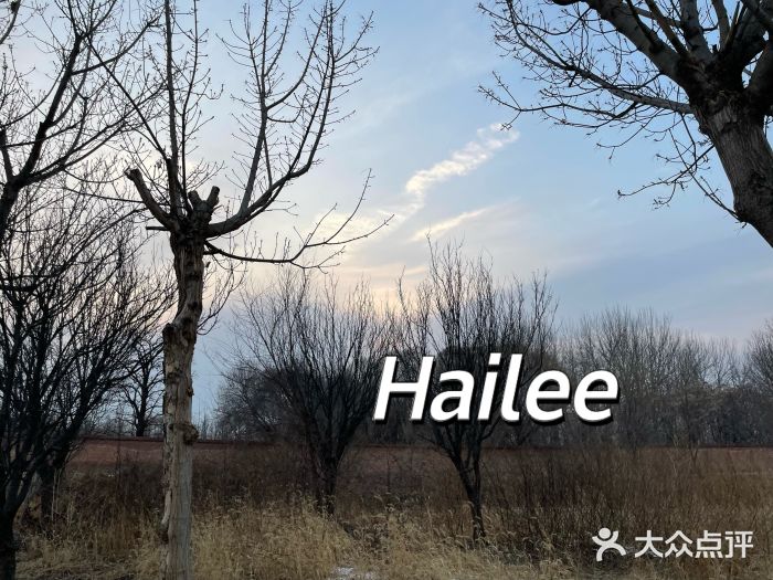 坝河休闲公园图片
