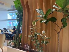 -Bco豆库(星耀天地店)