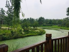 -东郊湿地公园