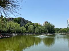 -莲湖公园