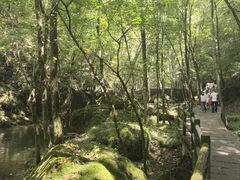 -牛背梁国家森林公园