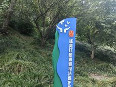 -平湖九龙山旅游度假区