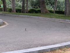 -深圳湾公园(南山区)