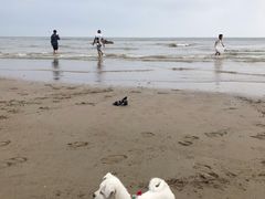 -南澳海滩